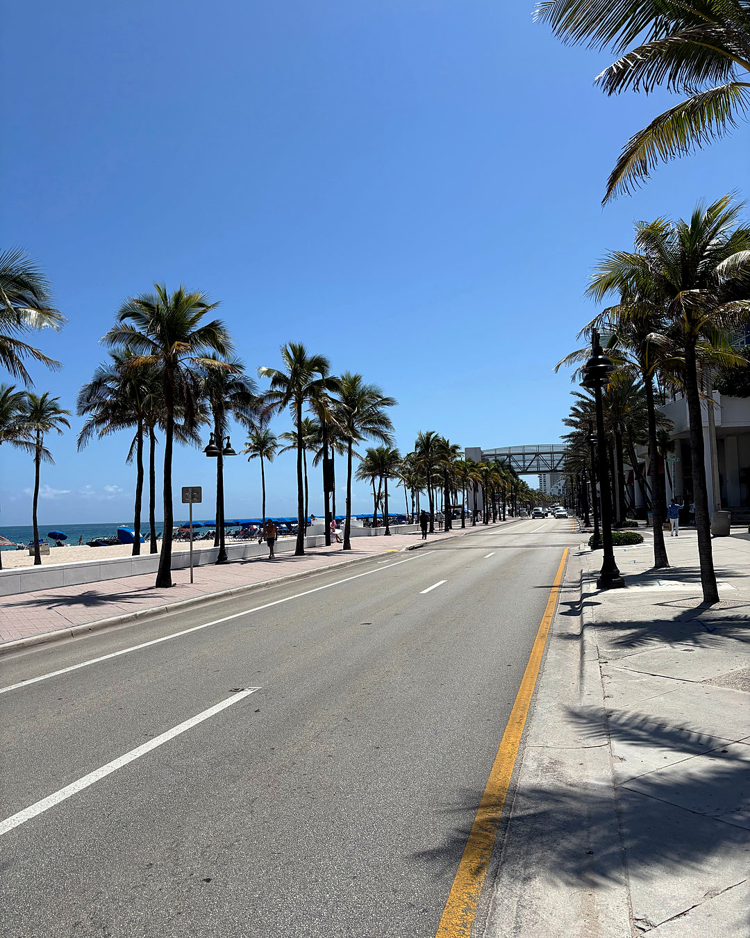 A1A running along the beach under tall palms