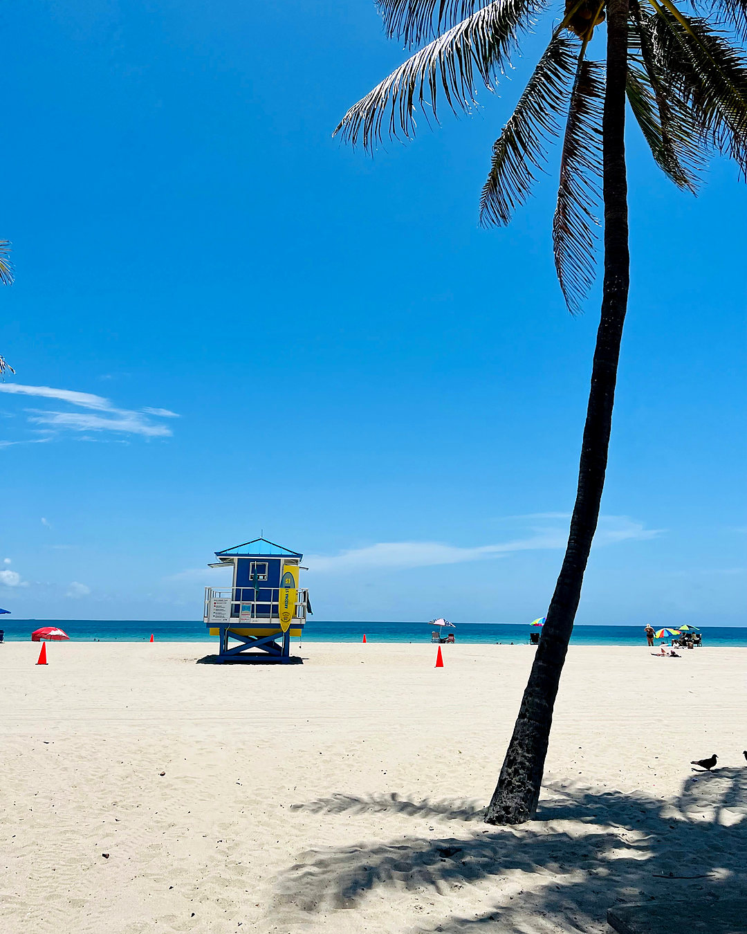 Lifeguard tower and a single palm on a wide South Florida beach