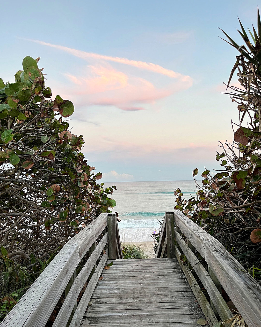 Wooden boardwalk through sea grapes to the ocean in Boca Raton