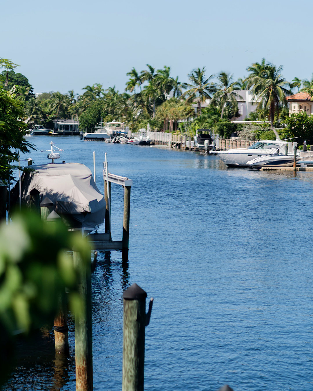 Canal lined with palms and yachts in South Florida